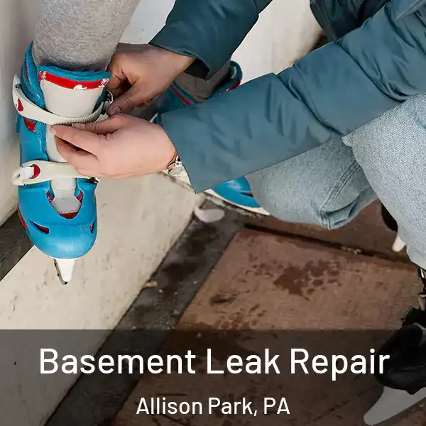  Basement Leak Repair Allison Park, PA