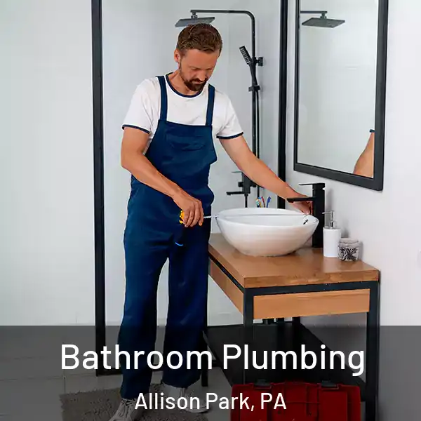  Bathroom Plumbing Allison Park, PA