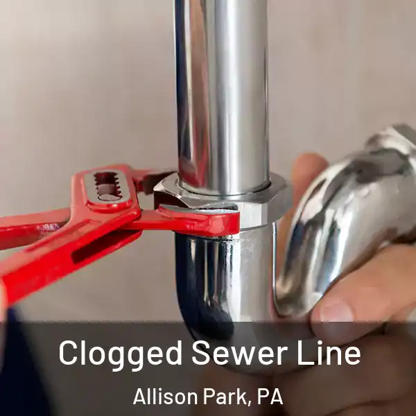  Clogged Sewer Line Allison Park, PA