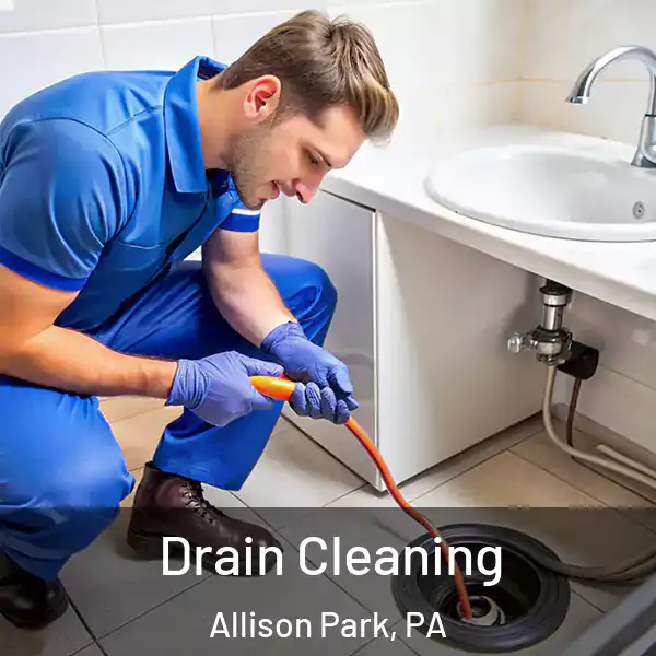  Drain Cleaning Allison Park, PA