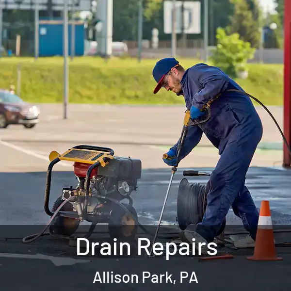 Drain Repairs Allison Park, PA