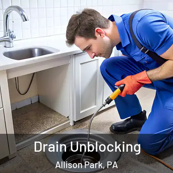  Drain Unblocking Allison Park, PA
