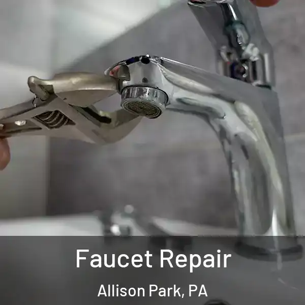  Faucet Repair Allison Park, PA