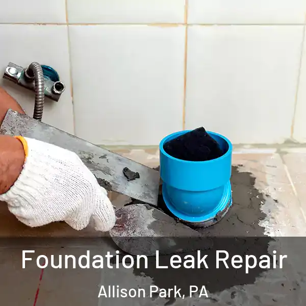  Foundation Leak Repair Allison Park, PA