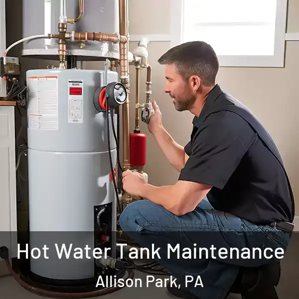  Hot Water Tank Maintenance Allison Park, PA
