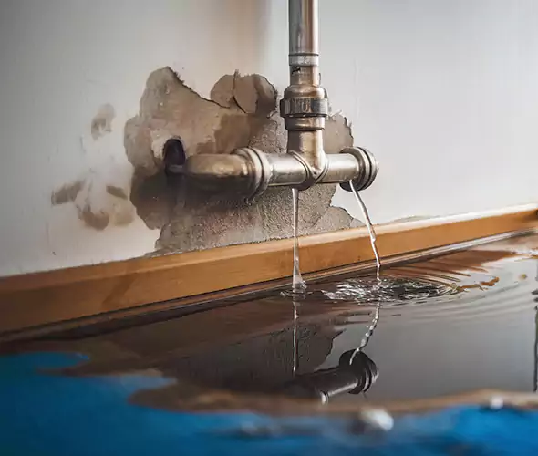 Professional Water Damage Restoration Experts in Allison Park, PA — Fast, Reliable & Certified