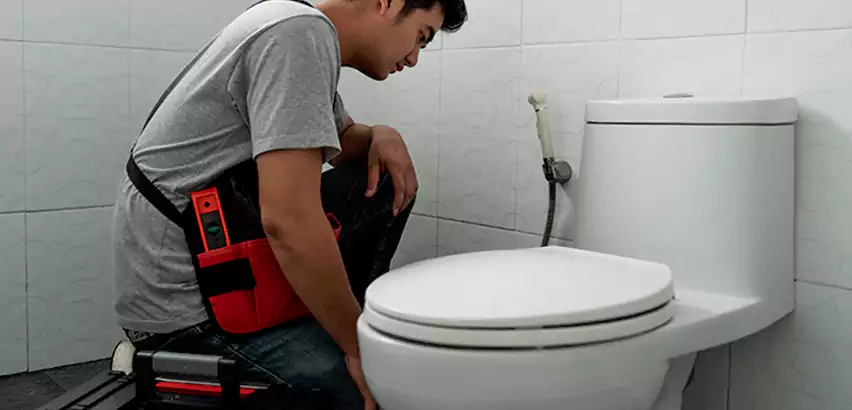Toilet Repair in Allison Park