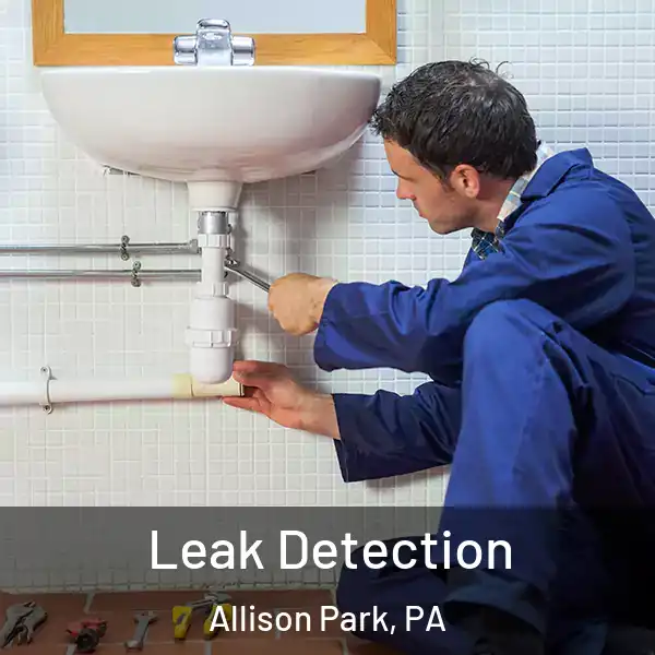  Leak Detection Allison Park, PA