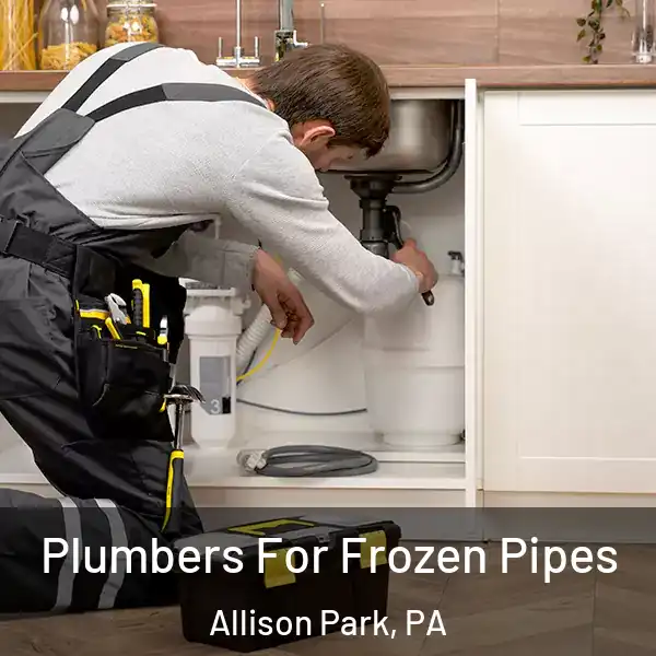  Plumbers For Frozen Pipes Allison Park, PA