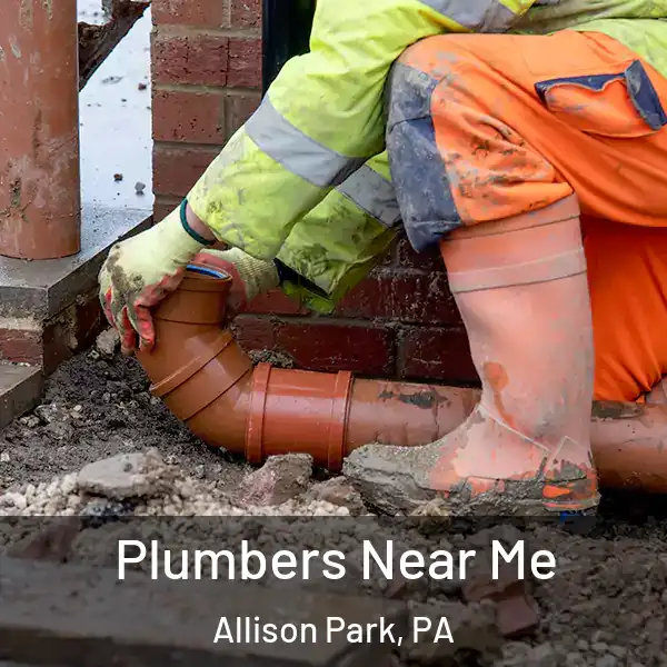  Plumbers Near Me Allison Park, PA