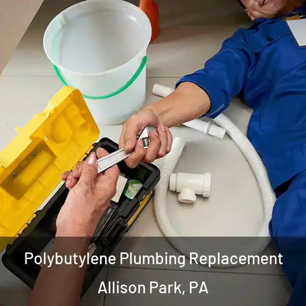  Polybutylene Plumbing Replacement Allison Park, PA