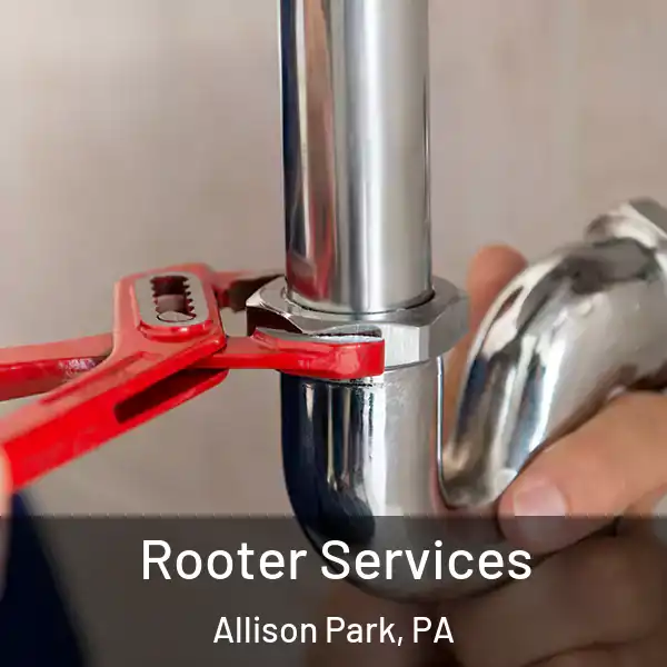  Rooter Services Allison Park, PA