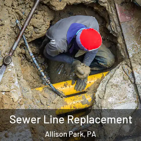  Sewer Line Replacement Allison Park, PA