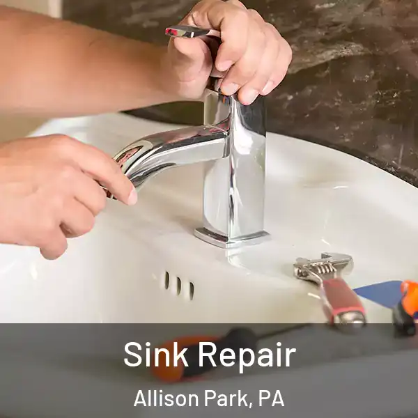  Sink Repair Allison Park, PA