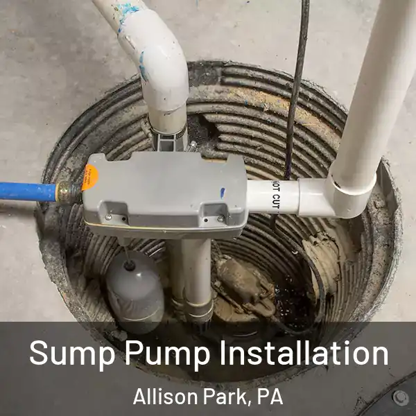  Sump Pump Installation Allison Park, PA