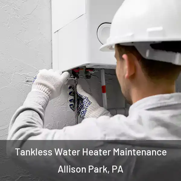  Tankless Water Heater Maintenance Allison Park, PA