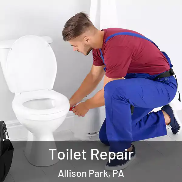  Toilet Repair Allison Park, PA