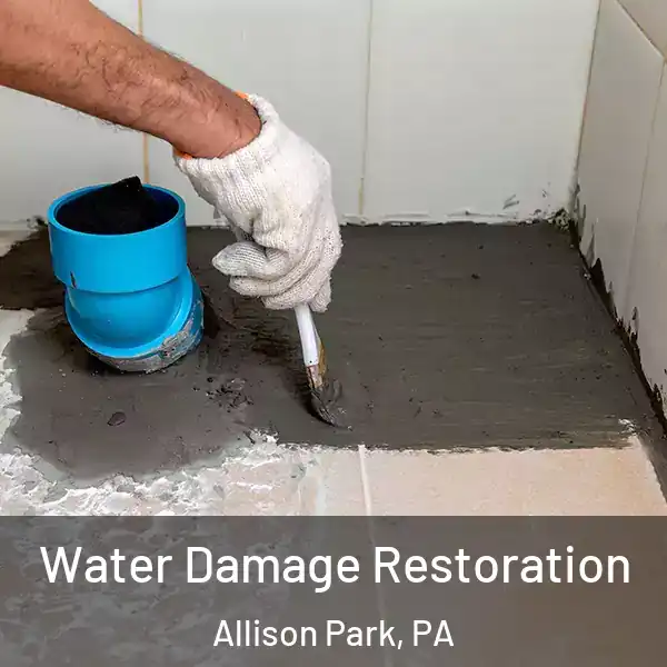  Water Damage Restoration Allison Park, PA