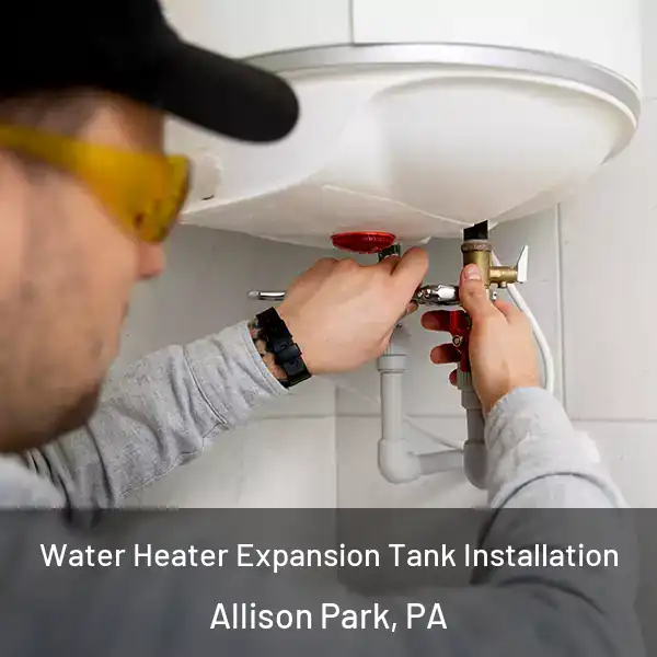  Water Heater Expansion Tank Installation Allison Park, PA