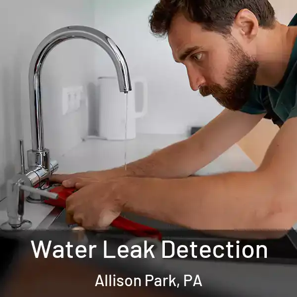  Water Leak Detection Allison Park, PA