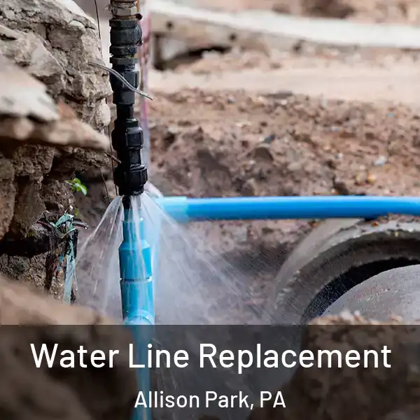  Water Line Replacement Allison Park, PA
