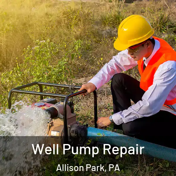  Well Pump Repair Allison Park, PA